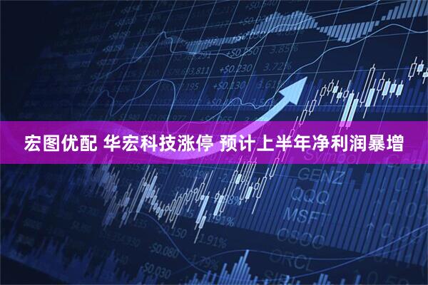 宏图优配 华宏科技涨停 预计上半年净利润暴增
