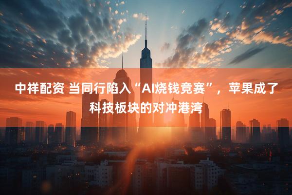 中祥配资 当同行陷入“AI烧钱竞赛”，苹果成了科技板块的对冲港湾